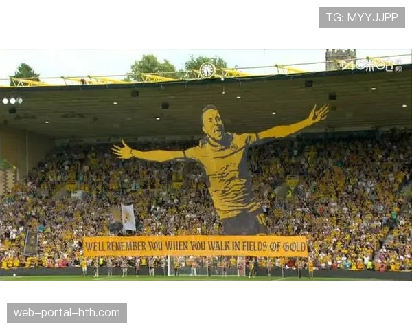 现场:蒙彼利埃球迷在球队保级关键战前展示巨型TIFO